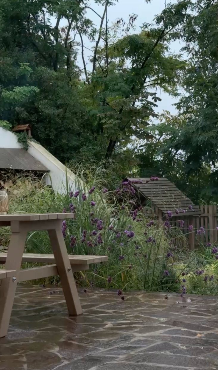 Picnic table on the patio with lavender and the wood store